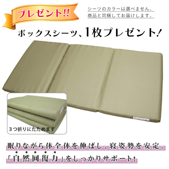 健康寝具 ヘルスロールキング