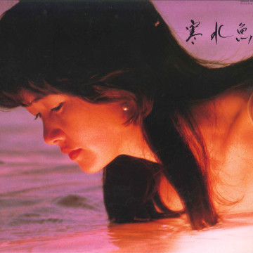 フィッシュマンズ - 空中キャンプ レコードの通販店・販売の【レコード