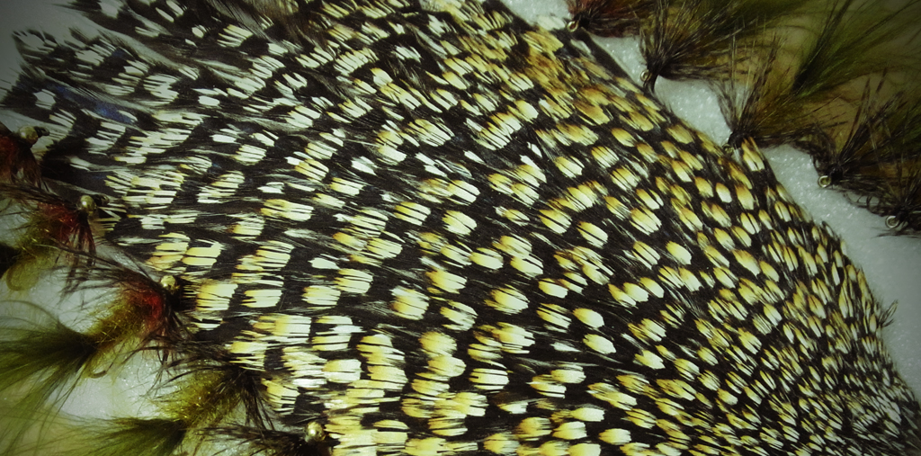 ジャングルコック | 阿寒クラブ akan fly fishing club