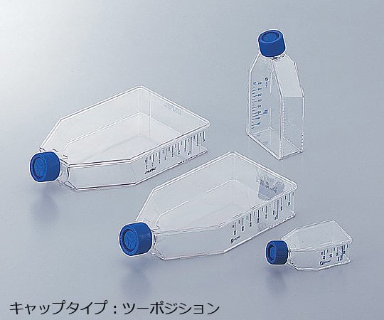 1-7365-05 イージーフラスコ 175cm2（ツーポジションキャップ） 1箱（5