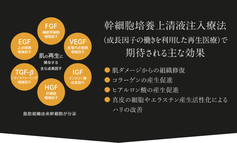 エムディア（セラージュ） セラージュ3Dマスク | Ai CLINIC オンライン