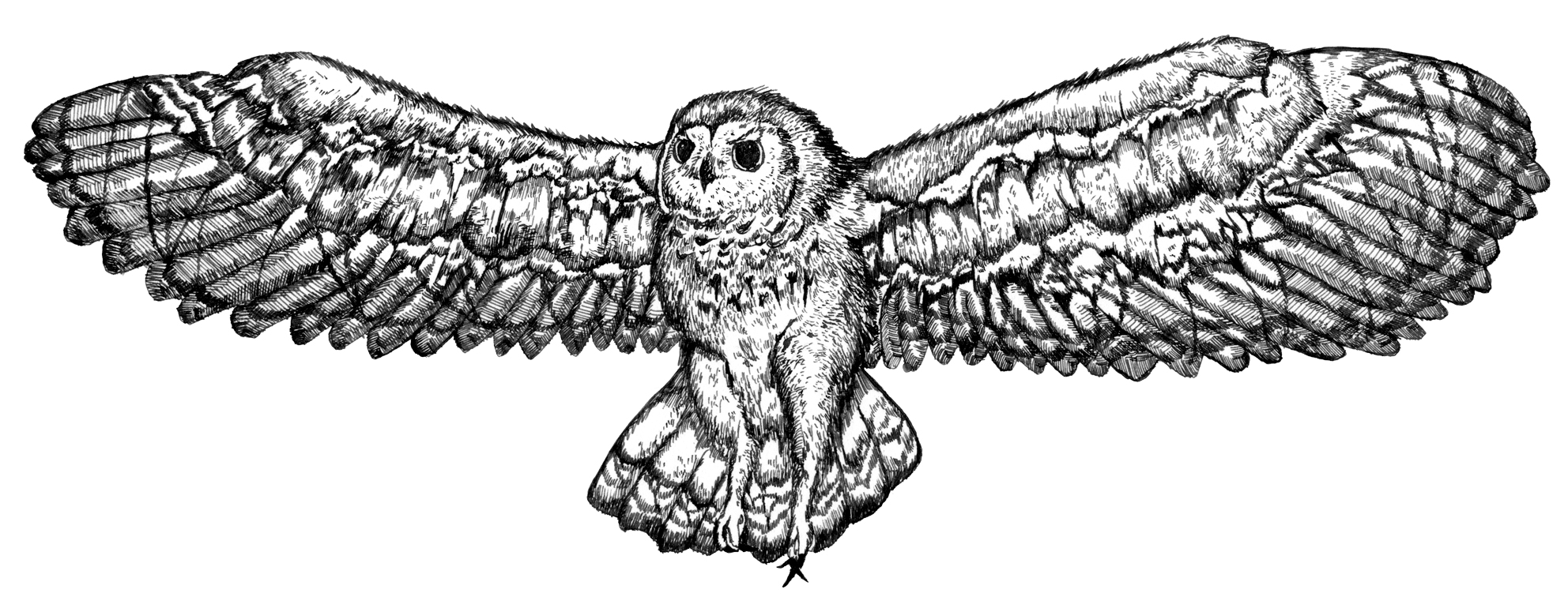 the cabs” 2nd MiniAlbum『回帰する呼吸』｜GALLERY｜ai kohno