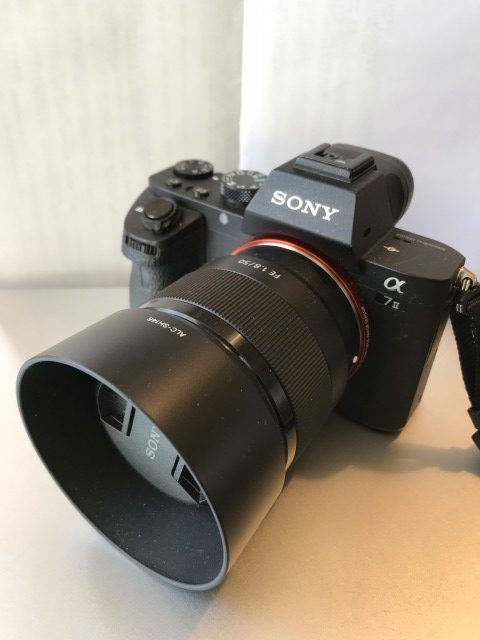 SONY α7 II購入レビュー！α7 IIIとも比較しながら紹介します
