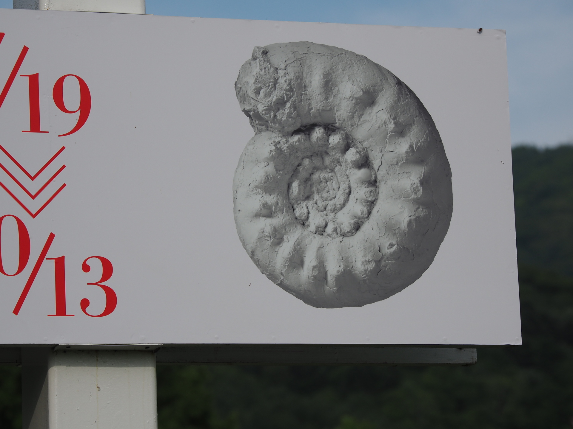 アンモナイトのお知らせ3つ (展示会・新刊・おまけ付きサイン本