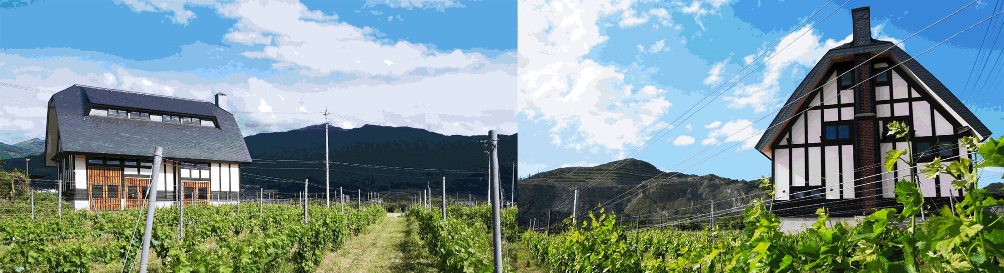 小布施酒莊5號Obuse Winery Sogga Nagano Le Sake Erotique Numero