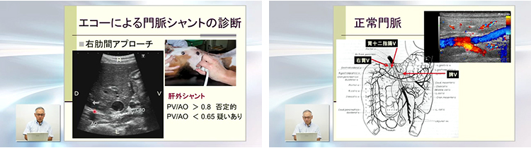 Dr.滝口の腹部エコー読影 エキスパートメソッド | 株式会社 医療情報研究所