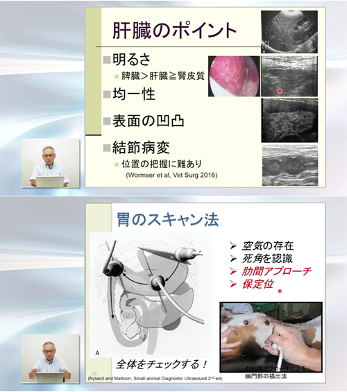 Dr.滝口の腹部エコー読影 エキスパートメソッド | 株式会社 医療情報研究所
