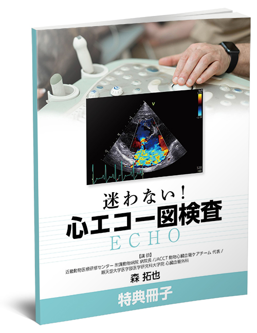 迷わない！心エコー図検査 | 株式会社 医療情報研究所