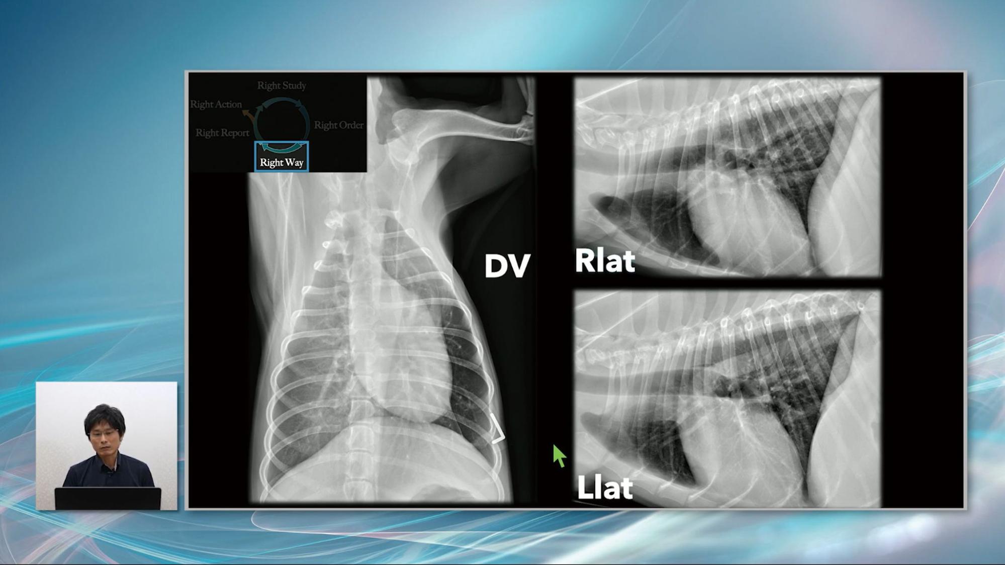 犬猫の診断力を上げるX線検査の極意 | 株式会社 医療情報研究所