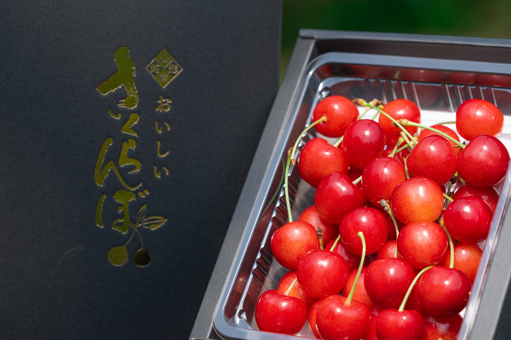 山形セレクション認定品 さくらんぼ 佐藤錦 特秀品 Lサイズ以上 300g S