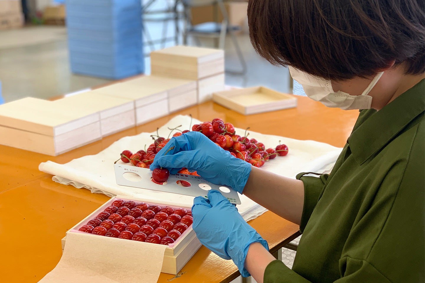 山形セレクション認定品 さくらんぼ 佐藤錦 特秀品 Lサイズ以上 300g S