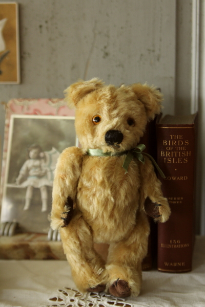 アンティークベア イギリス グラスアイ 20180718 【Antiques Truffle