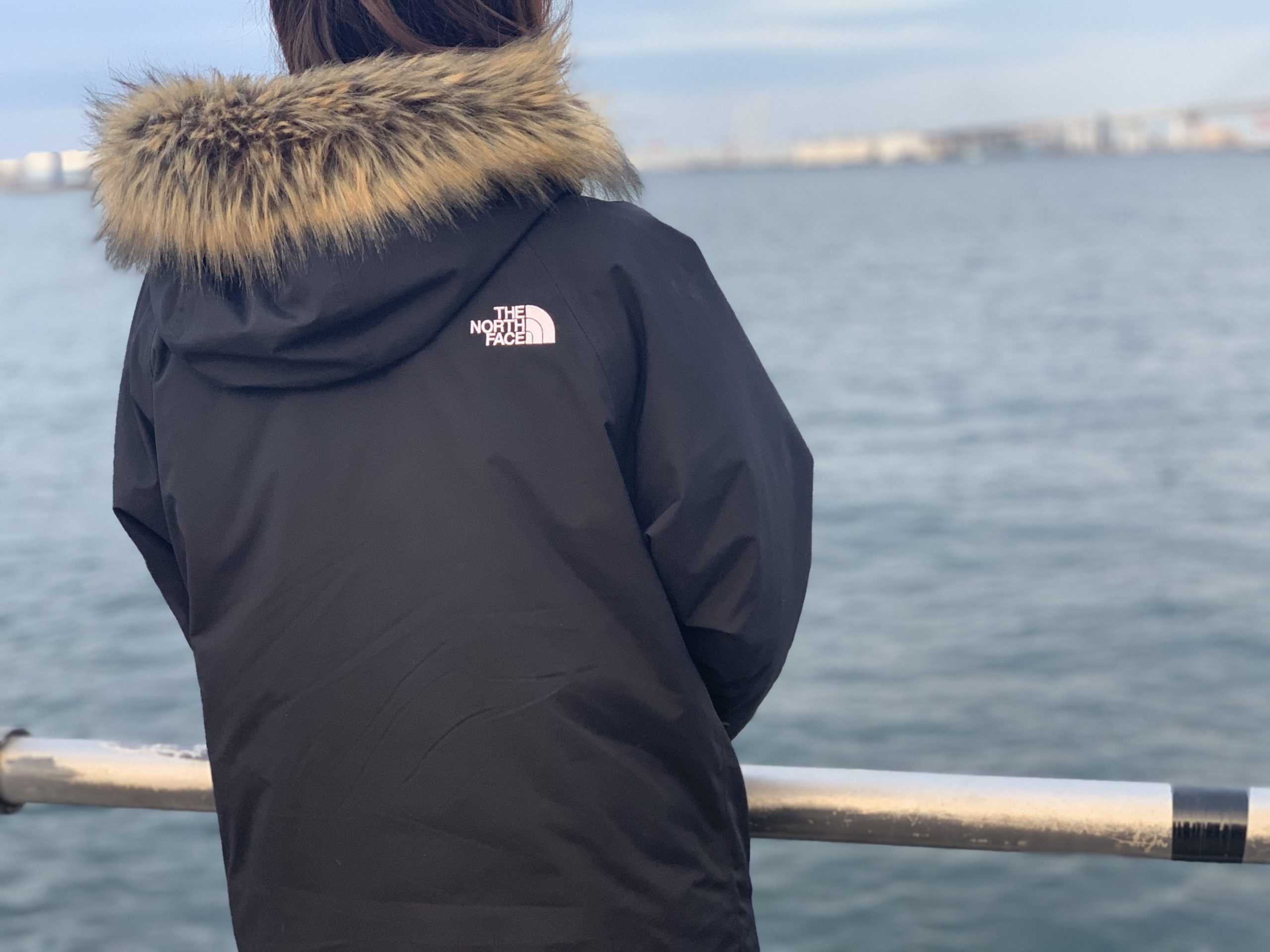 女性にもおすすめ】ノースフェイスのグレーストリクライメート