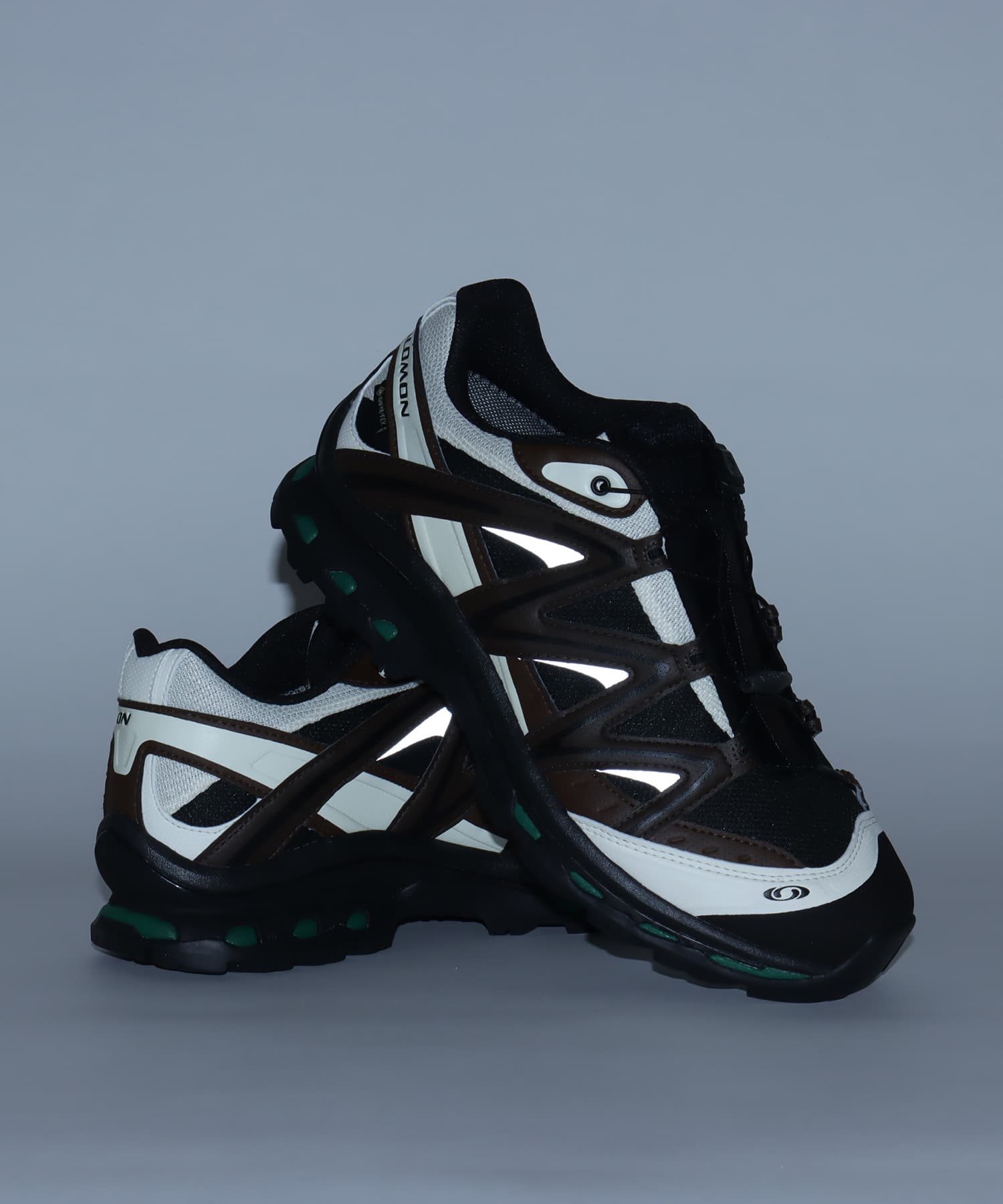 SALOMON XT-QUEST GTX Black/Delicioso/Green Jacket（サロモン