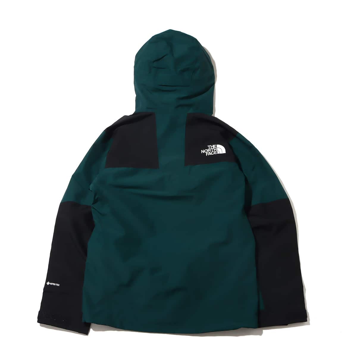 THE NORTH FACE MOUNTAIN JACKET ポンデローサグリーン 22FW-I（ザ