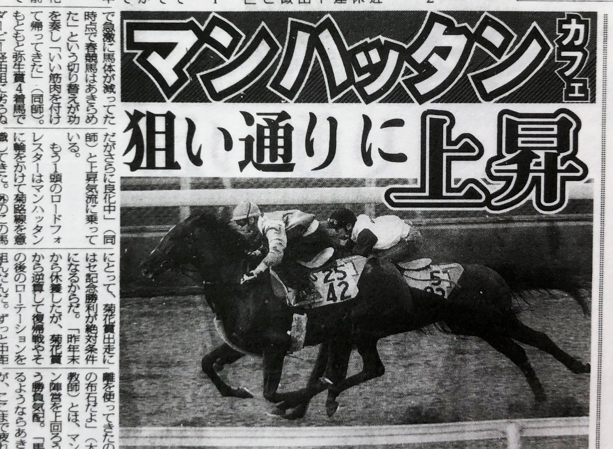 ウマ娘」の〝異界を行く者〟。秒で天下を取ったマンハッタンカフェを