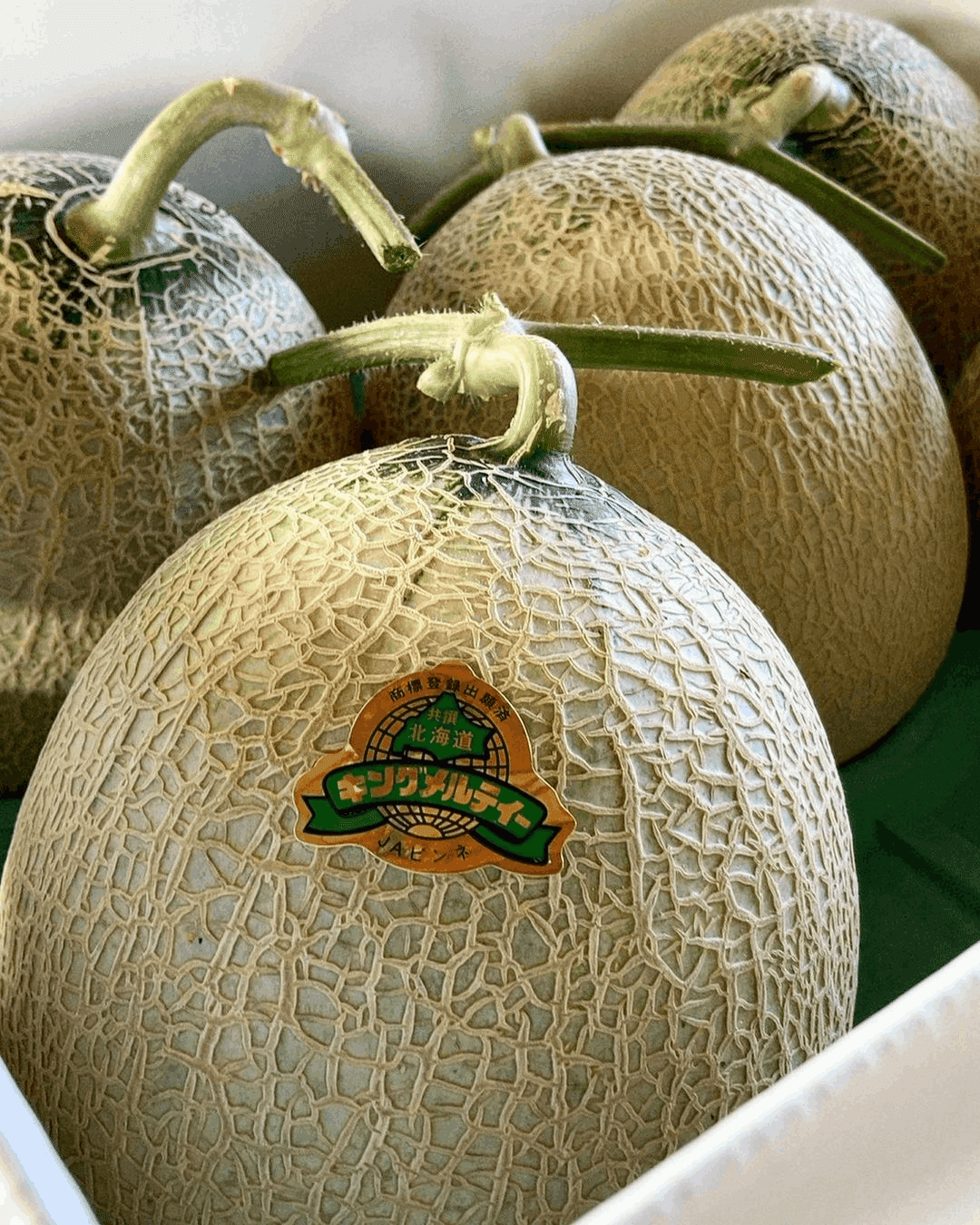 事業者紹介 【浦臼町】吉見農園 吉見勇人さん｜かみしほろ縁ハンスPROJECT