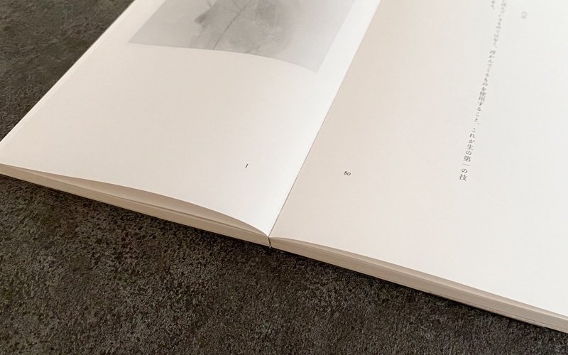 製本した本の紹介『純粋思考物体』｜渡邉製本株式会社