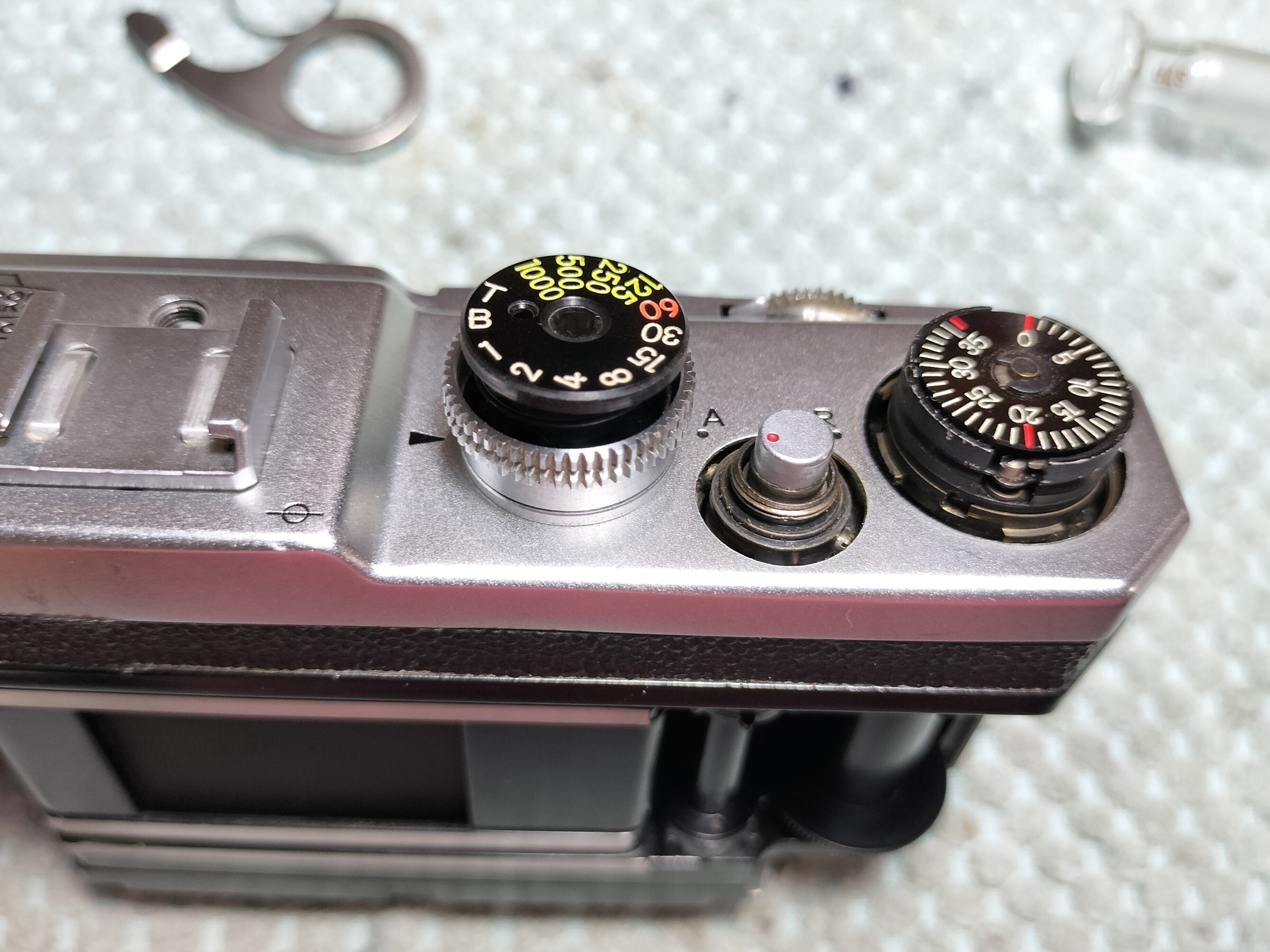 Nikon SPの分解｜フィルムカメラ修理のアクアカメラ