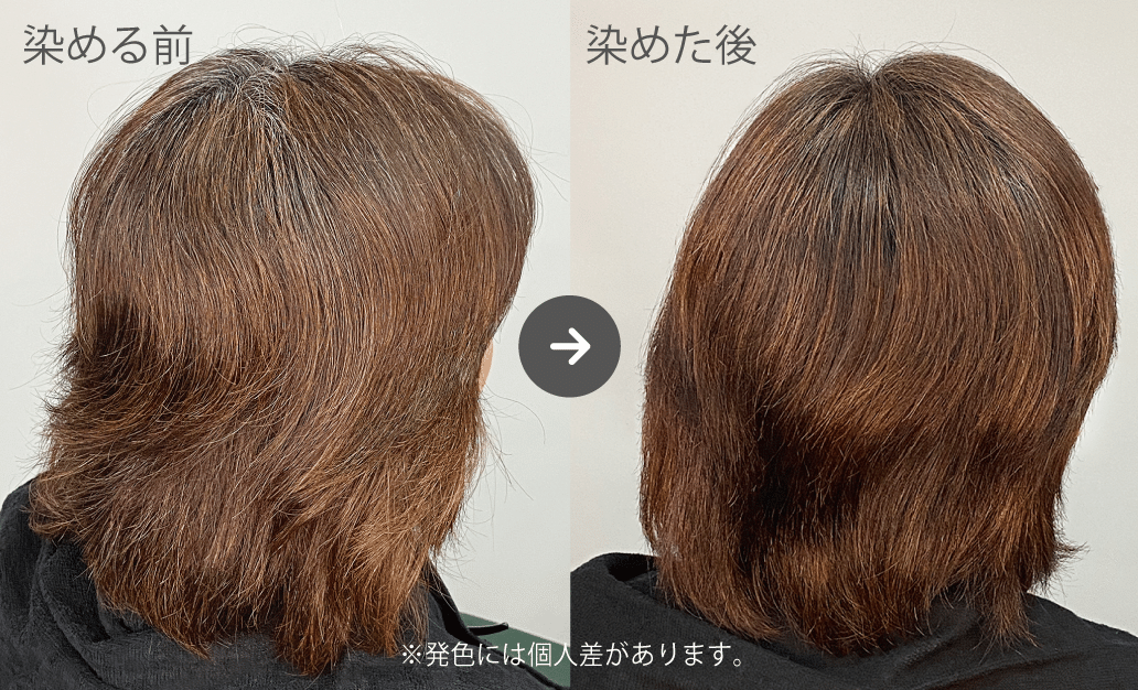 クイーンズヘナ レッド＆ニューブラウン 4パック