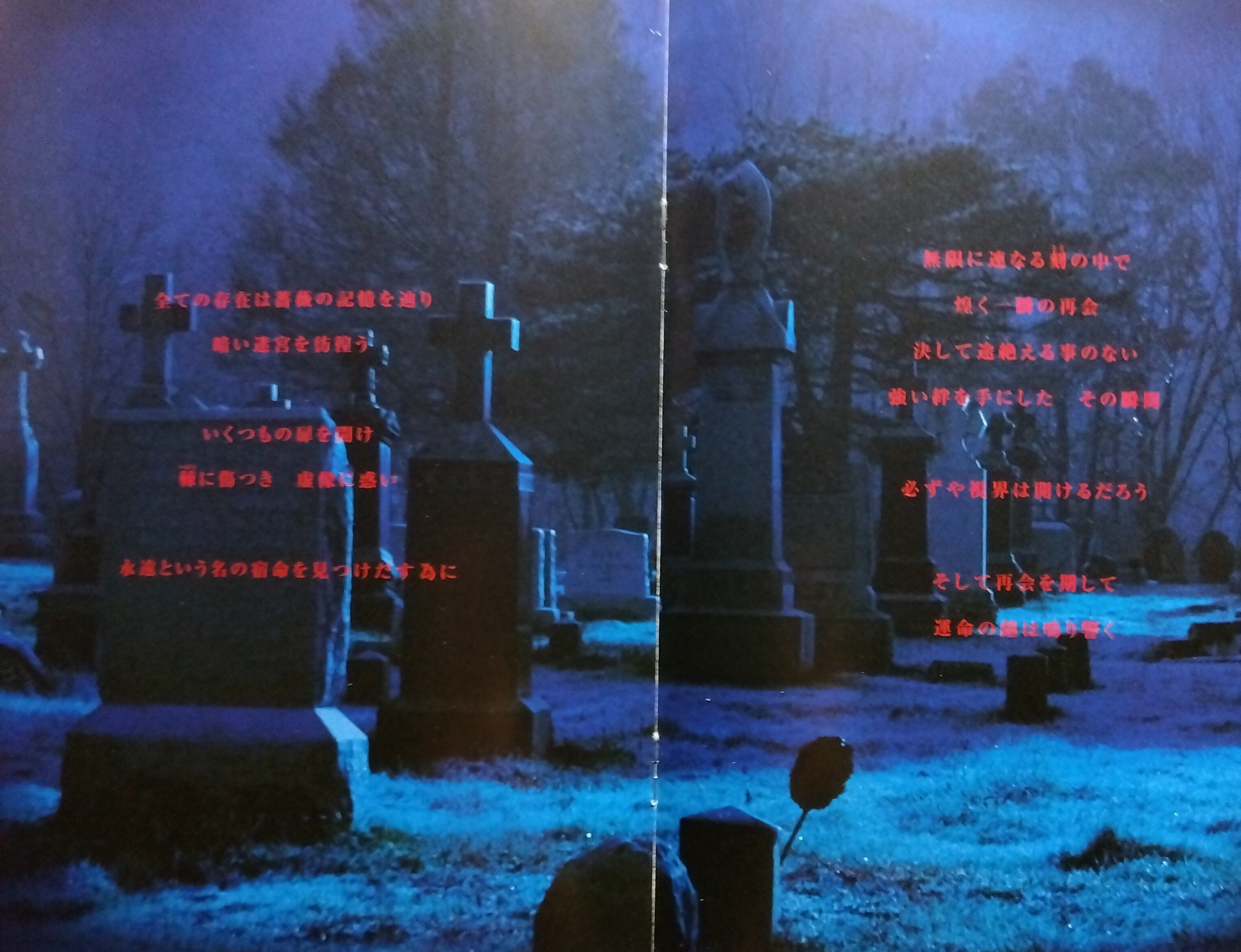 MALICE MIZER《薔薇の聖堂》｜山形のまぁちゃん