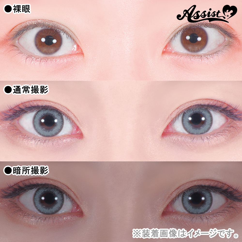 アタラキシアショップ / Assist ChouChou Shutella 1Day ボスグレー