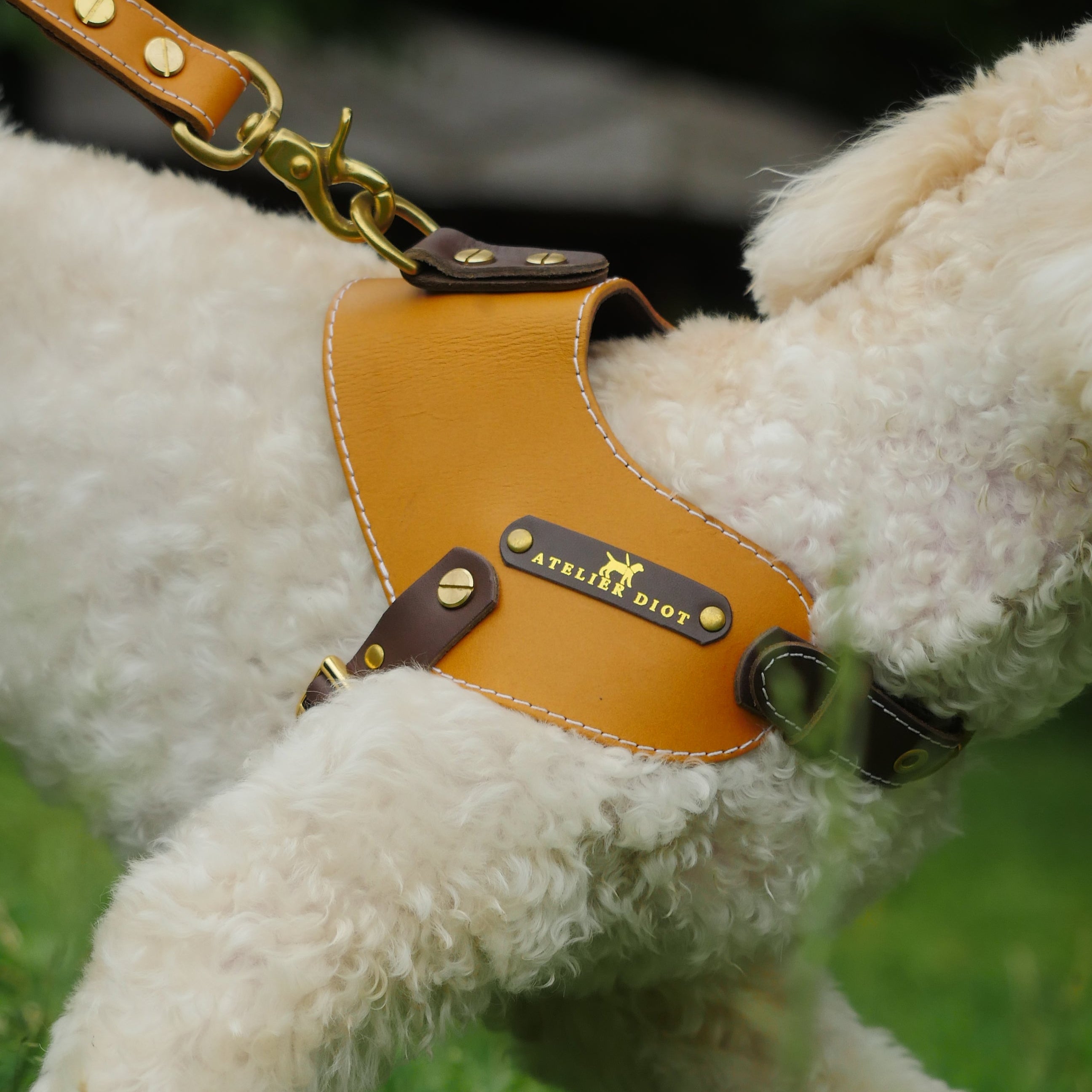 姫路レザー ノルウェージャン 犬用ハーネス カラーシリーズ 【小型