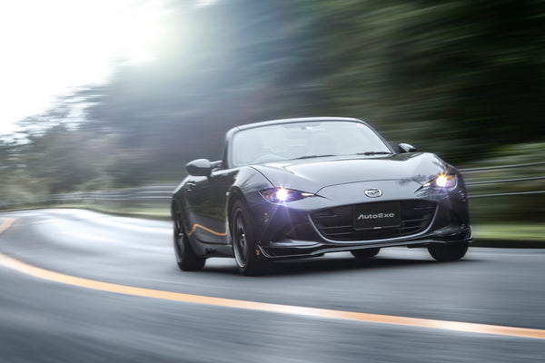 nd06s_imagefr_600x.jpg?v=