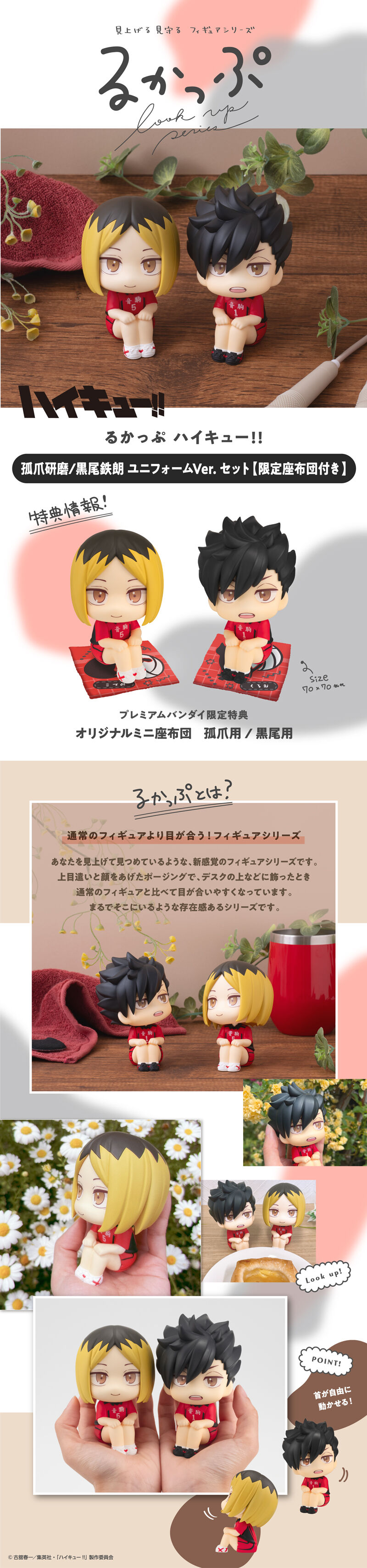 抽選販売】るかっぷ ハイキュー!! 孤爪研磨/黒尾鉄朗 ユニフォームVer