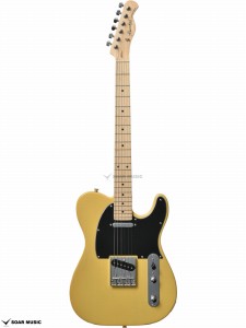 バッカス（Bacchus） BTE-1