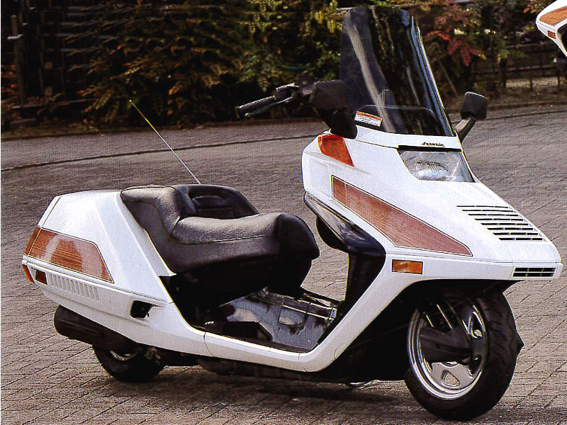 ファーストカルム フュージョン用 テールガーニッシュ FIRST CALM