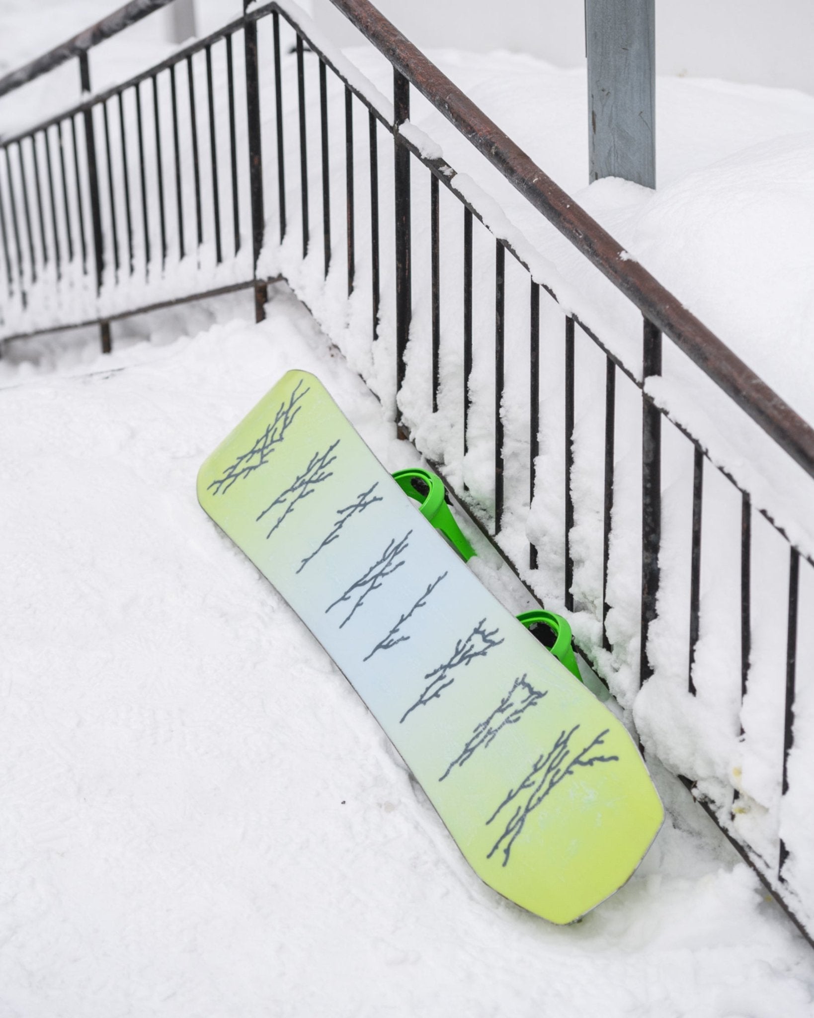 Disaster 2025 | Bataleon Snowboards™ – Bataleon US