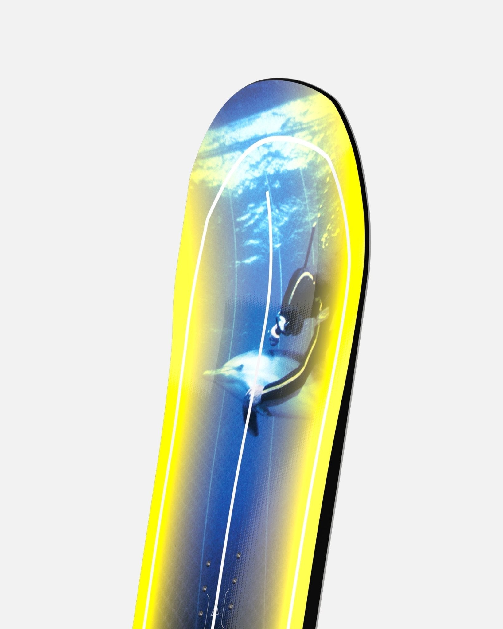 Bataleon Distortia 2024 – Bataleon US