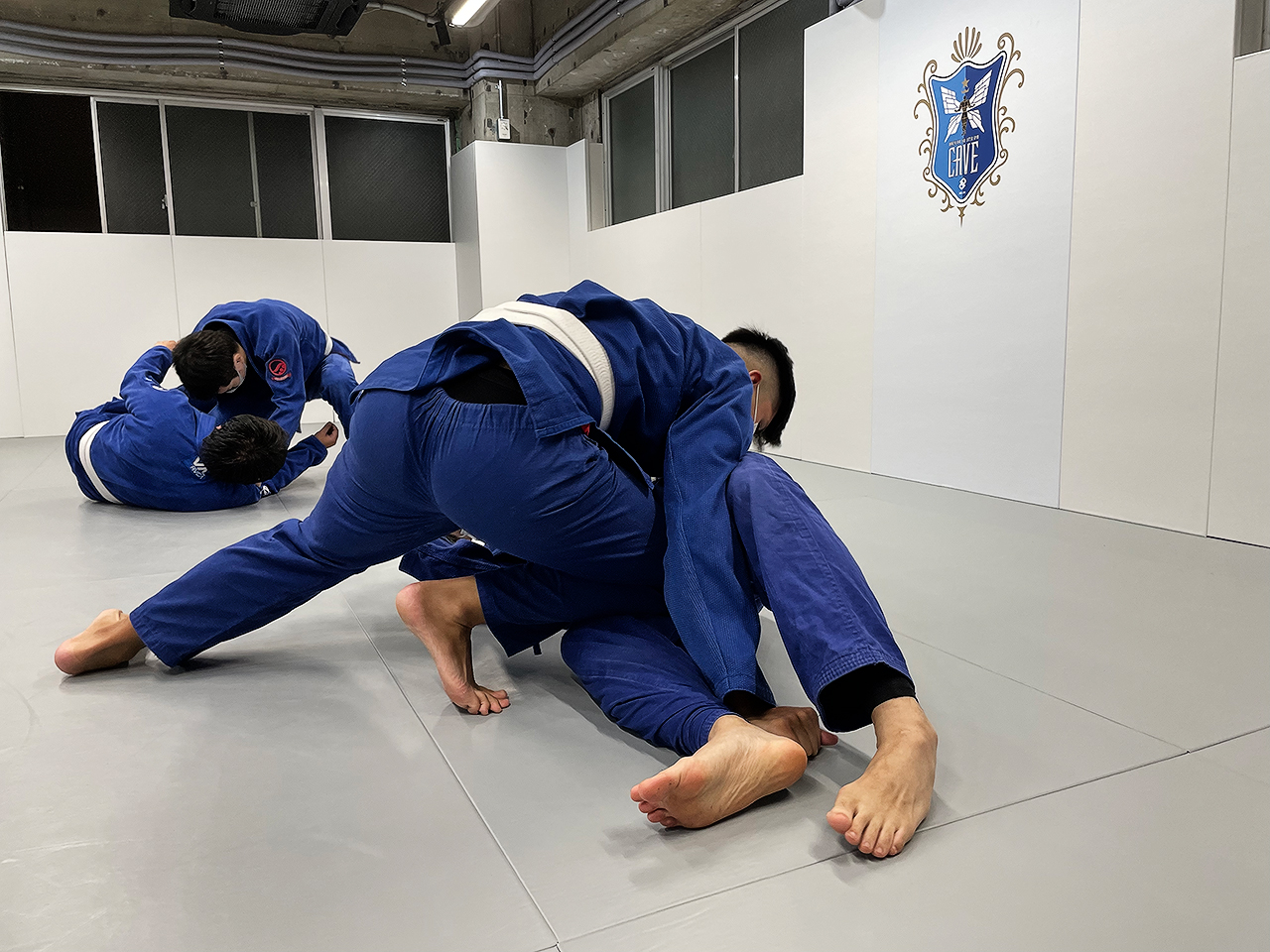 ベーシッククラス | ブラジリアン柔術ジム CAVE BJJ