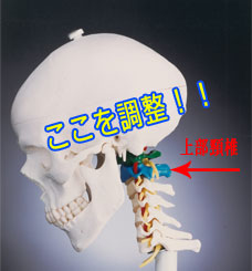 初めての方へ - 袖ケ浦-INE頚椎専門カイロプラクティック