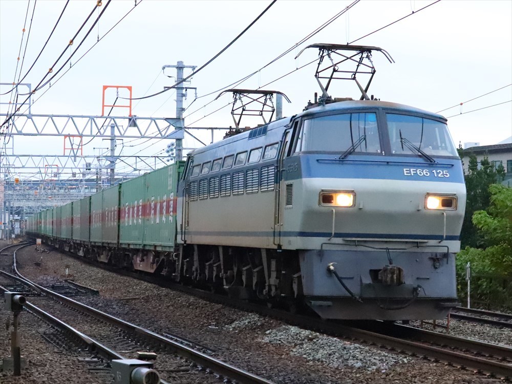 2020/11/07 城崎温泉サロンカーなにわ・ニーナほか 西大鉃FC2ブログ