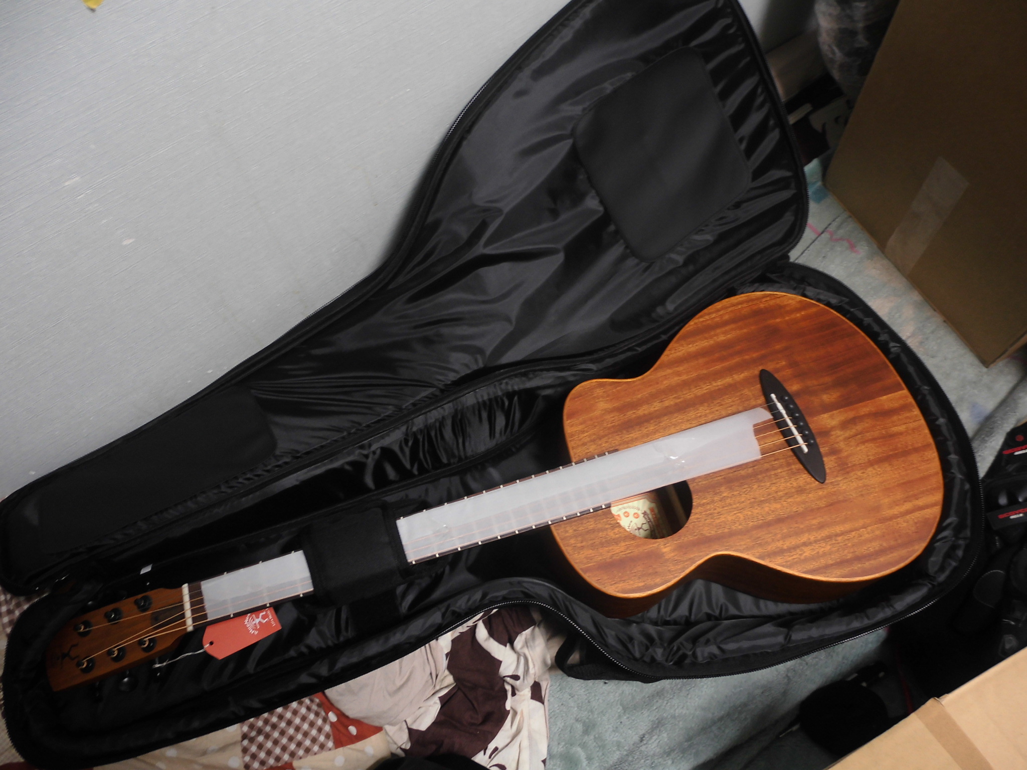 aNueNue Bird Guitar aNN-M2 購入しました！ - 怠惰な野郎の戦闘日記