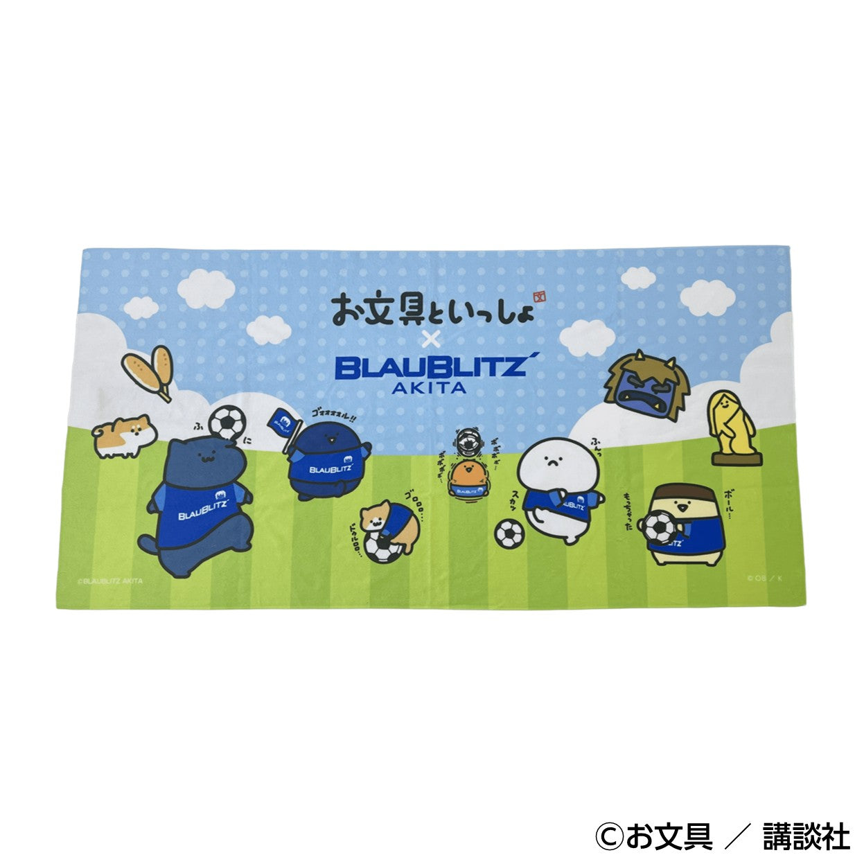 ブラウブリッツ秋田オンラインストア | BLAUBLITZ AKITA ONLINE STORE