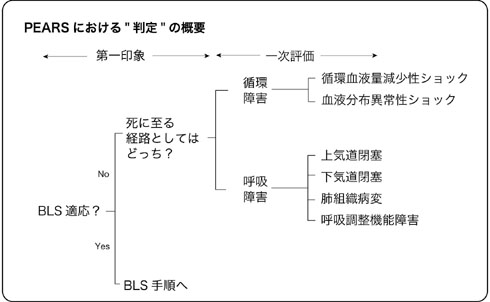 PEARSプロバイダーコース【学生限定】受講申込み