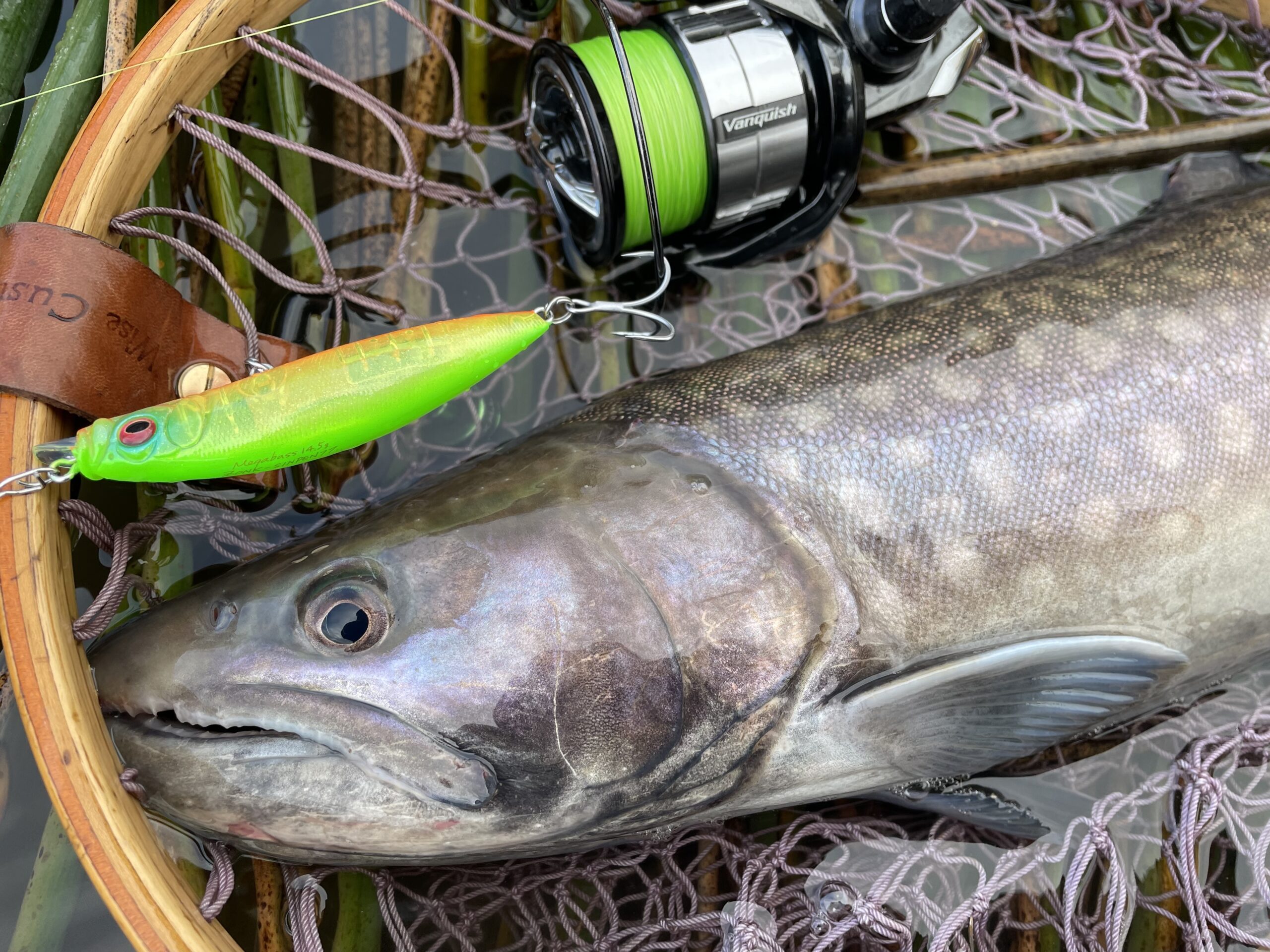 お得なセット】今年もやります！お得なサクラマスジギングセット販売