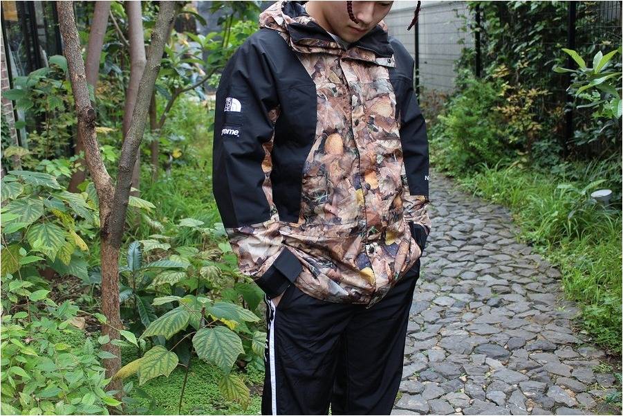 BC原宿店】Supreme（シュプリーム）x The North Face （ザ・ノース
