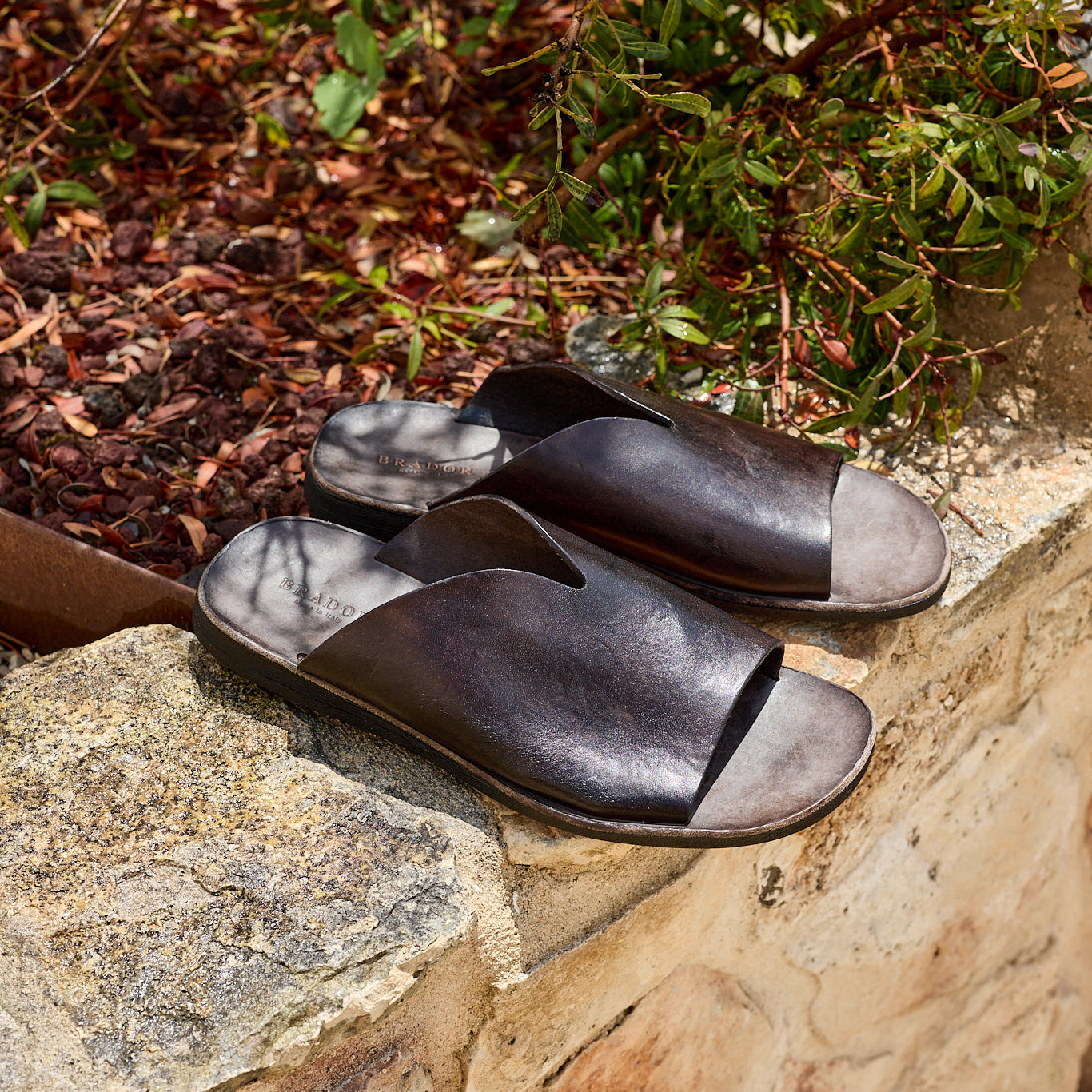 46-571 TDM – BRADOR JAPAN