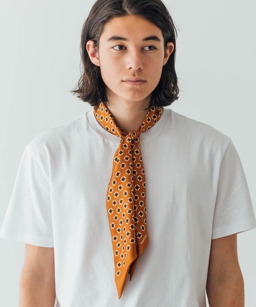 Fratelli Luigi（フラテッリルイージ）の「【Fratelli Luigi】シルク