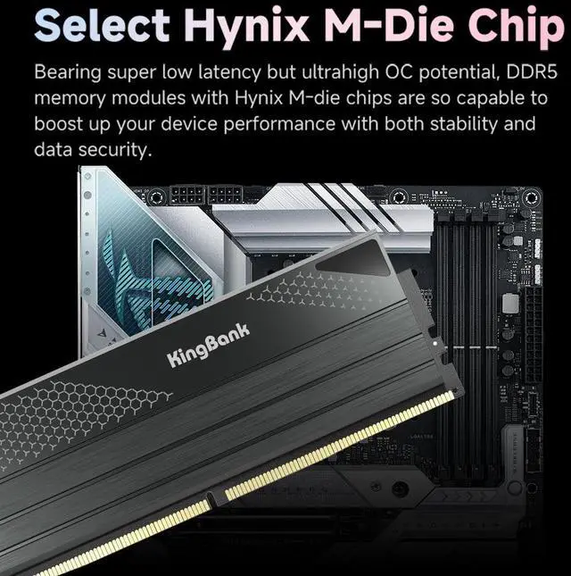 KingBank Computer Desktop Memory Ram DDR5 48GB(2x24GB) 8400MT/s