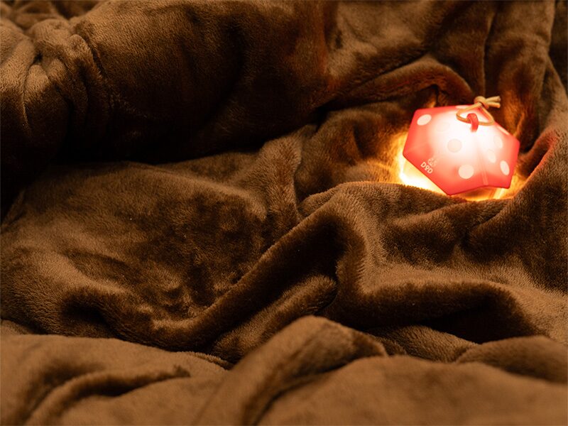 DODから毛布素材の「わがやのシュラフRICH」登場 | キャンプレビュー