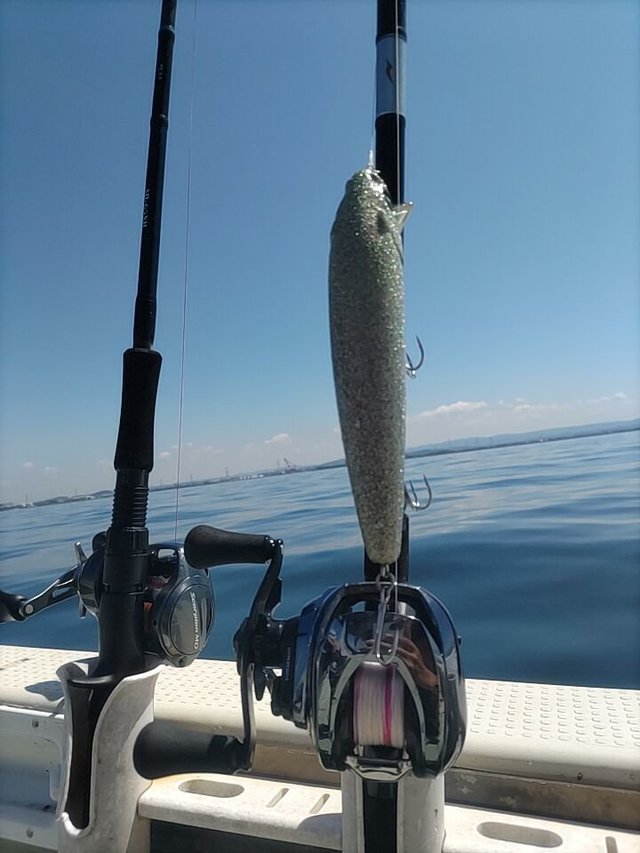 アピア シーバスロッド Foojin RS ARLEQUIN C79MH(ARLEQUIN C79MH): 竿