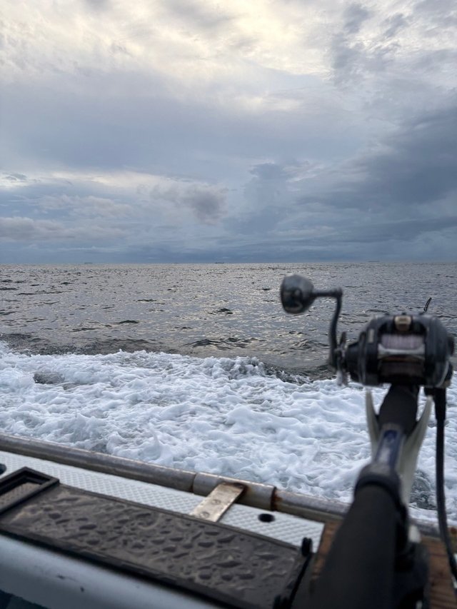 ダイワ 船大物竿 極鋭中深場 H-205(H-205): 竿｜釣具の通販なら