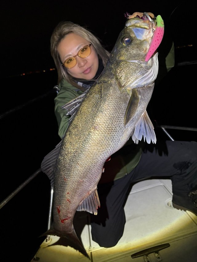 ダイワ シーバスロッド ラブラックス AGS BS 67MLS・Q(スピニング 2