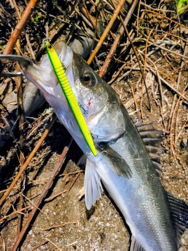 よつあみ Xブレイド アップグレード X8 200m 22LB(1号): ライン