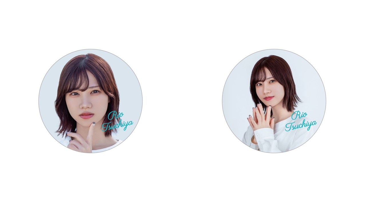 ぷちやぬいぐるみ | ドワンゴジェイピーストア